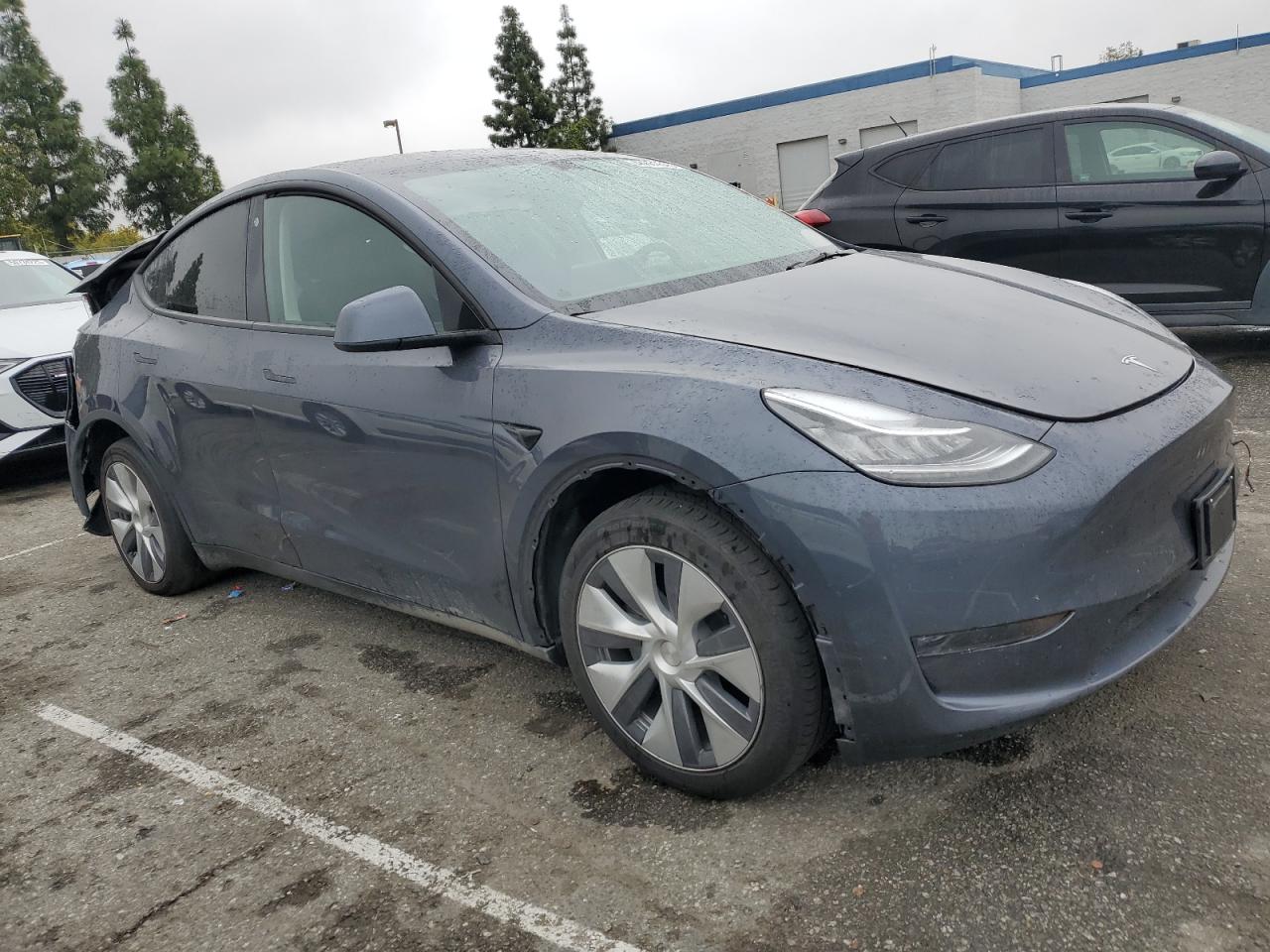 2023 TESLA MODEL Y  VIN:7SAYGDEE6PA103185
