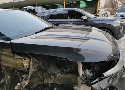 2019 Hyundai Santa FE KMHS281BBKU006706 VIN:KMHS281BBKU006706