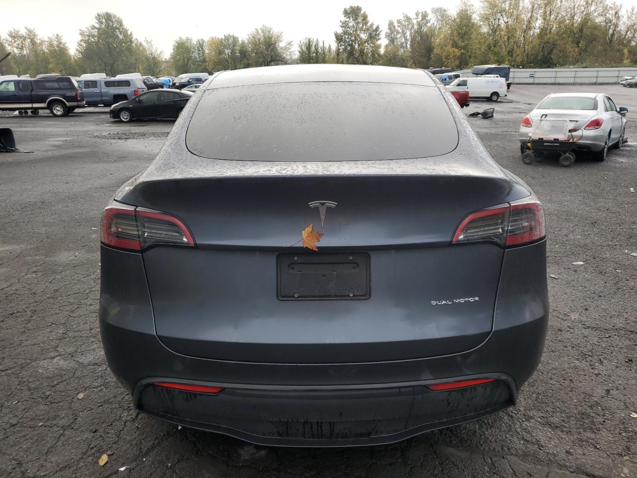 2023 TESLA MODEL Y  VIN:7SAYGDEE7PF809939