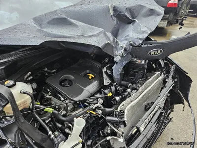 2019 Kia Sportage KNAPP81ABKK643821 VIN:KNAPP81ABKK643821