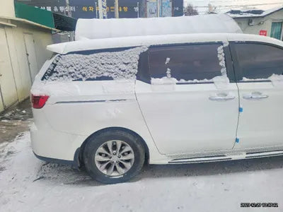 2019 Kia Carnival KNHMF37ABKS525968 VIN:KNHMF37ABKS525968