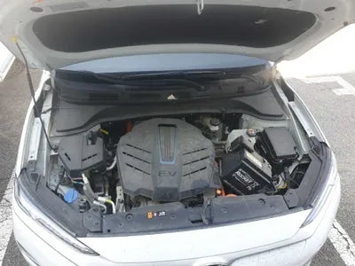 2020 Hyundai Kona KMHK381GFLU100372 VIN:KMHK381GFLU100372