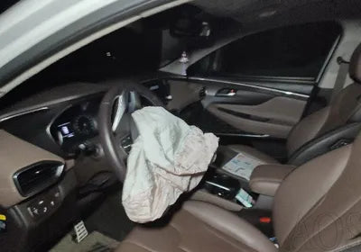 2019 Hyundai Santa FE KMHS381CBKU028156 VIN:KMHS381CBKU028156