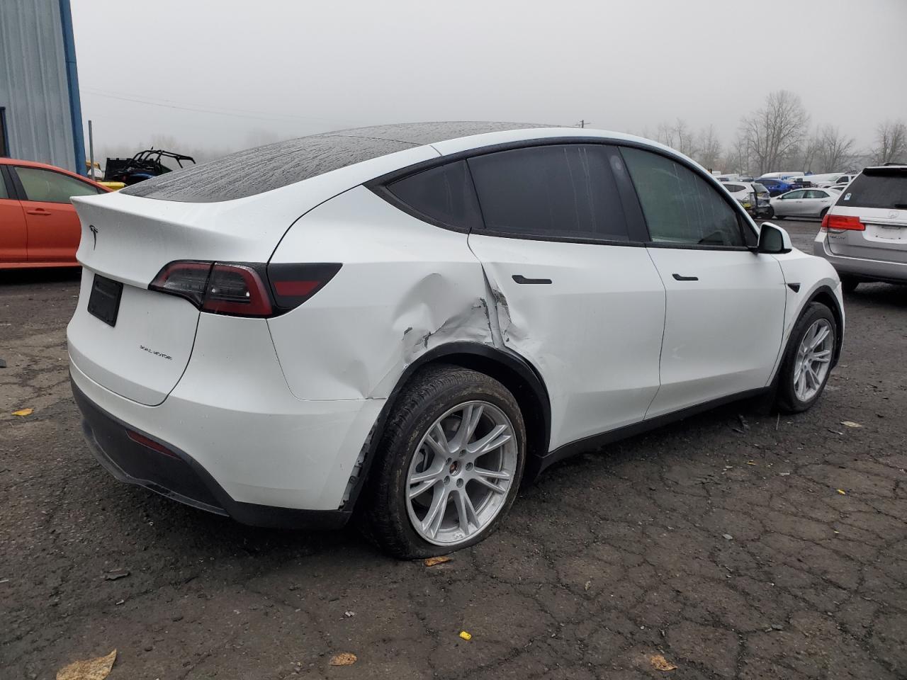 2023 TESLA MODEL Y  VIN:7SAYGDEE0PF774709