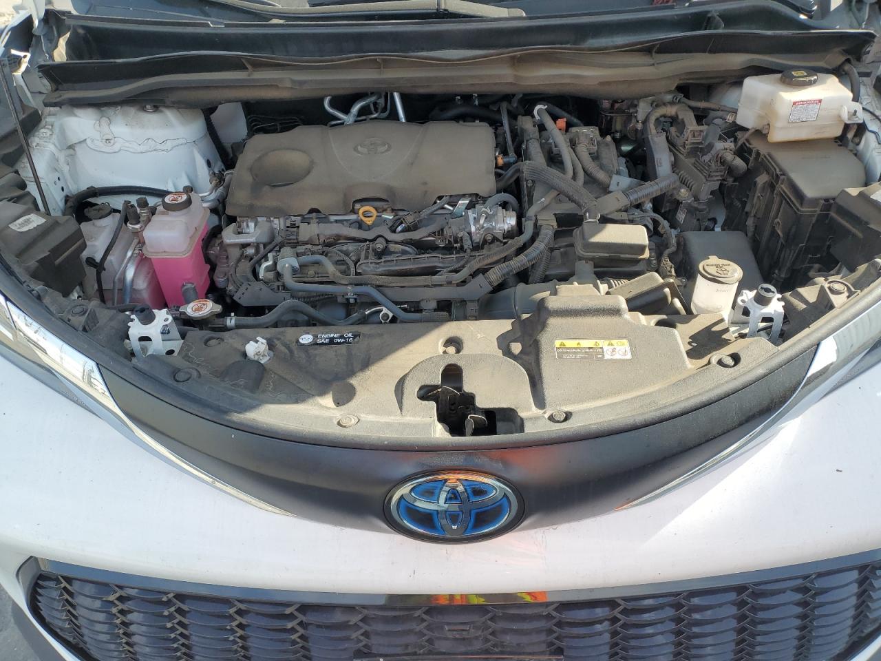 2023 TOYOTA SIENNA LE VIN:5TDKRKEC8PS160034
