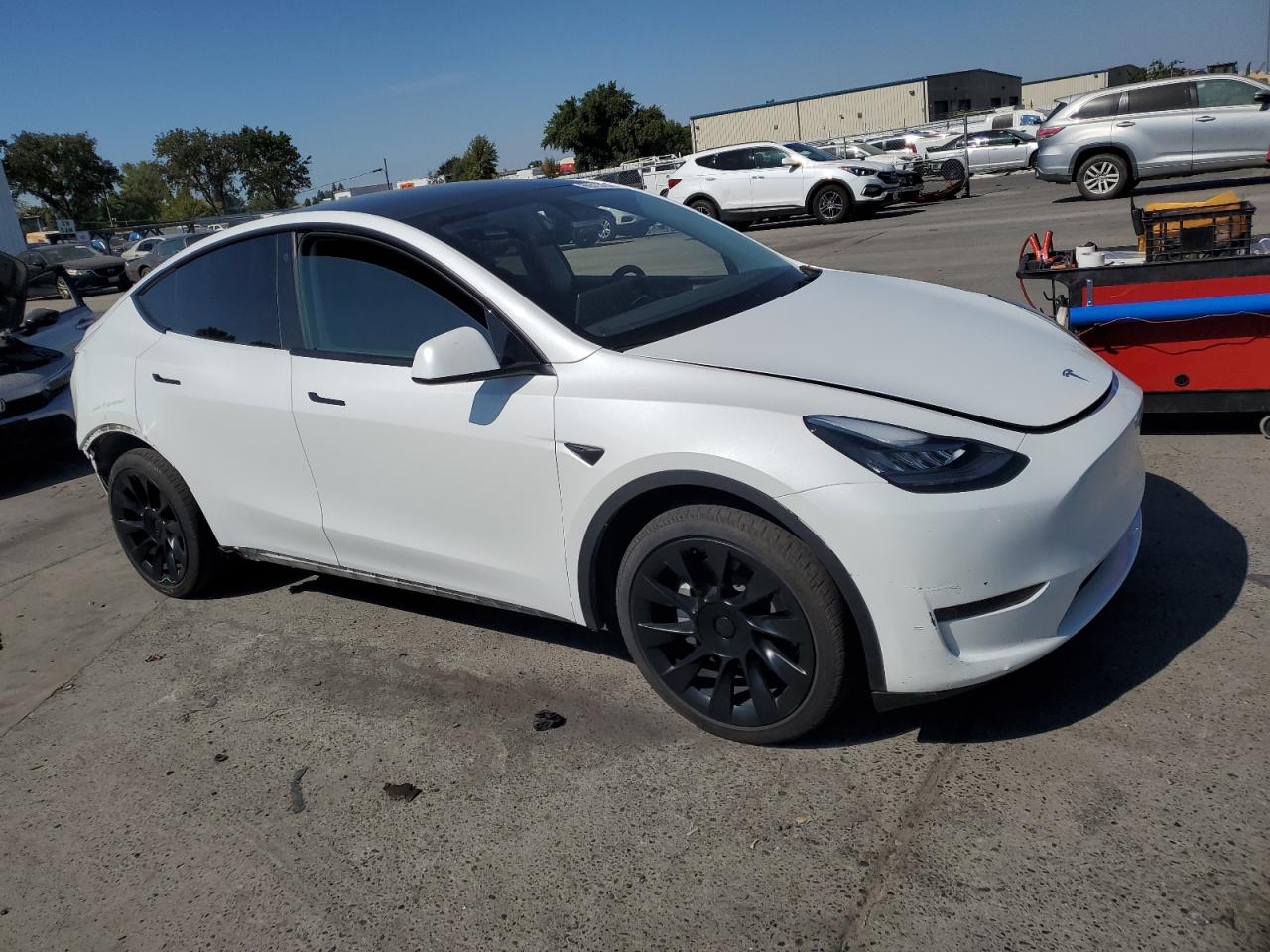 2023 TESLA MODEL Y  VIN:7SAYGDEE7PF590058