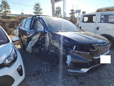 2023 Kia Carnival KNANB813BPS258263 VIN:KNANB813BPS258263