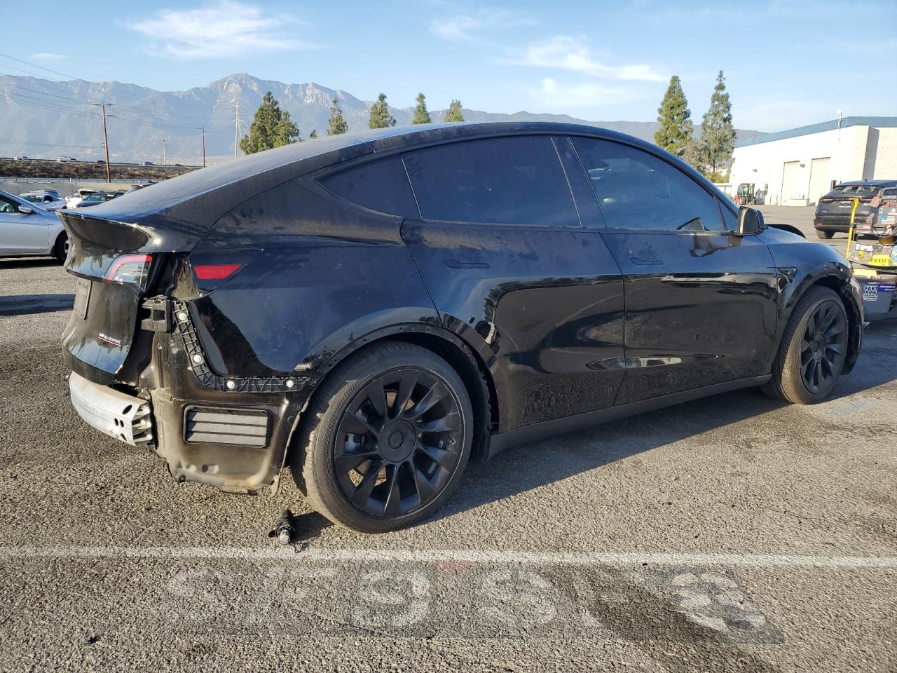 2023 TESLA MODEL Y  VIN:7SAYGDEF6PF635595