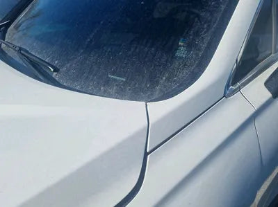 2022 Hyundai Santa FE KMHS381HHNU449049 VIN:KMHS381HHNU449049