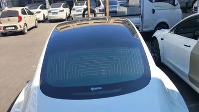 2019 Tesla Model 3 VIN: