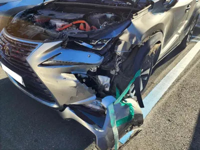 2019 Lexus NX 300 JTJDJRDZ5L2128686 VIN:JTJDJRDZ5L2128686