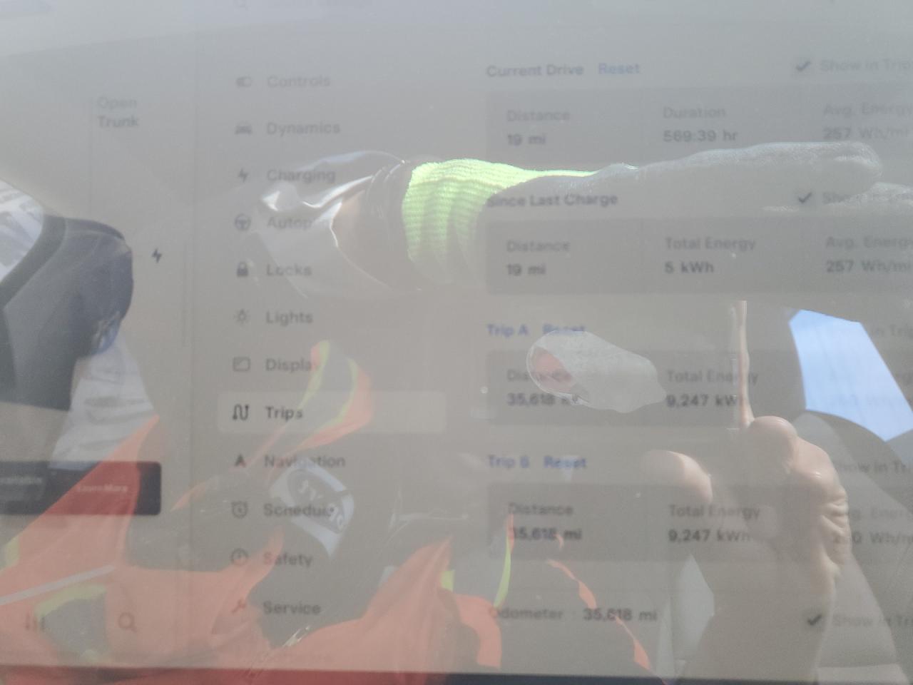 2023 TESLA MODEL Y  VIN:7SAYGDEEXPF798712