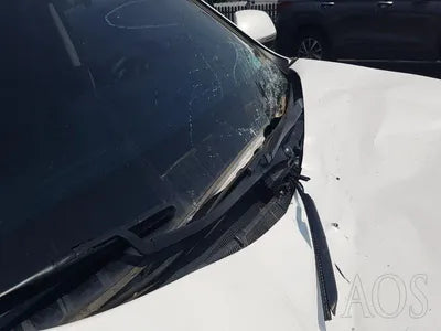 2016 Hyundai Santa FE KMHSW81UBGU635539 VIN:KMHSW81UBGU635539