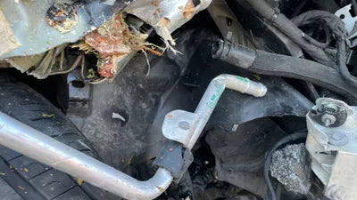 2021 Mercedes-Benz E 300 W1KZF5EB9MA959660 VIN:W1KZF5EB9MA959660