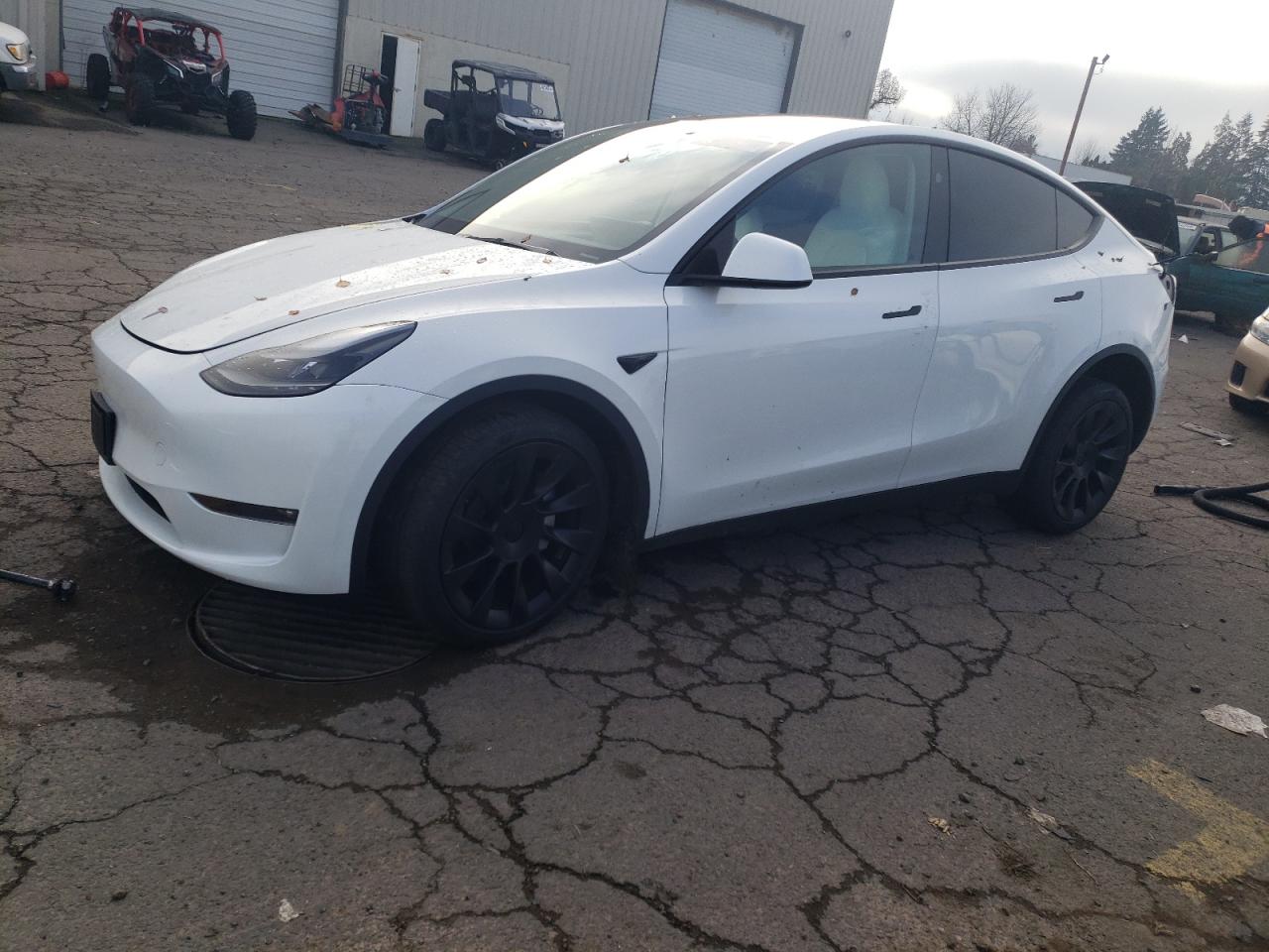 2024 TESLA MODEL Y  VIN:7SAYGAEE7RF077443