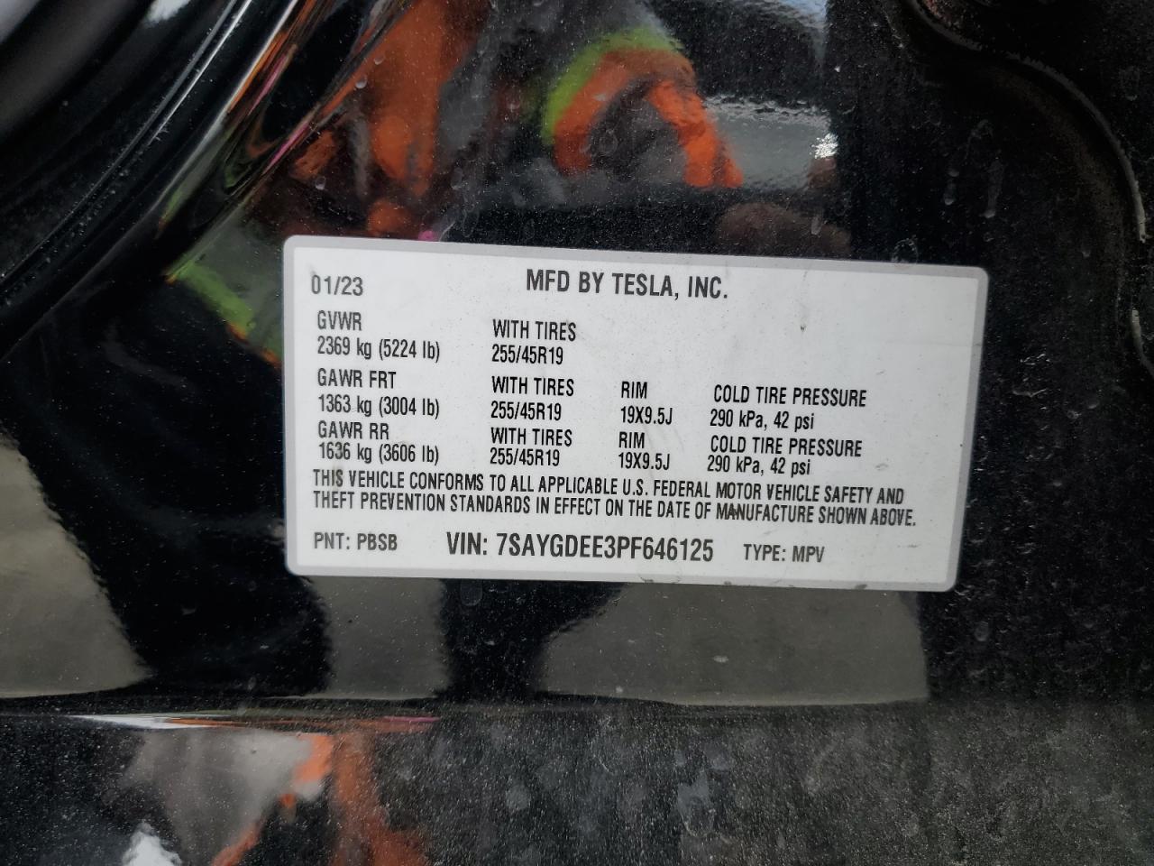 2023 TESLA MODEL Y  VIN:7SAYGDEE3PF646125