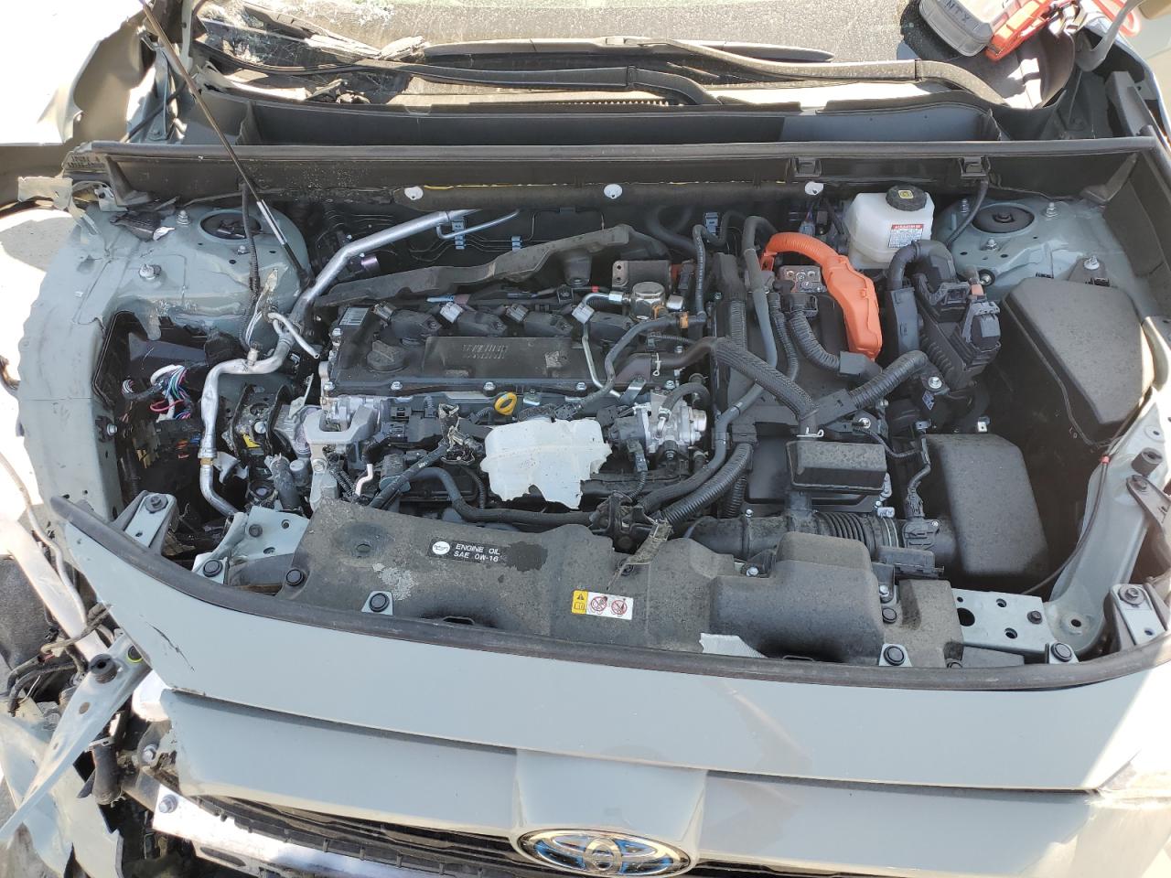 2023 TOYOTA RAV4 XLE VIN:JTMRWRFV0PD574954