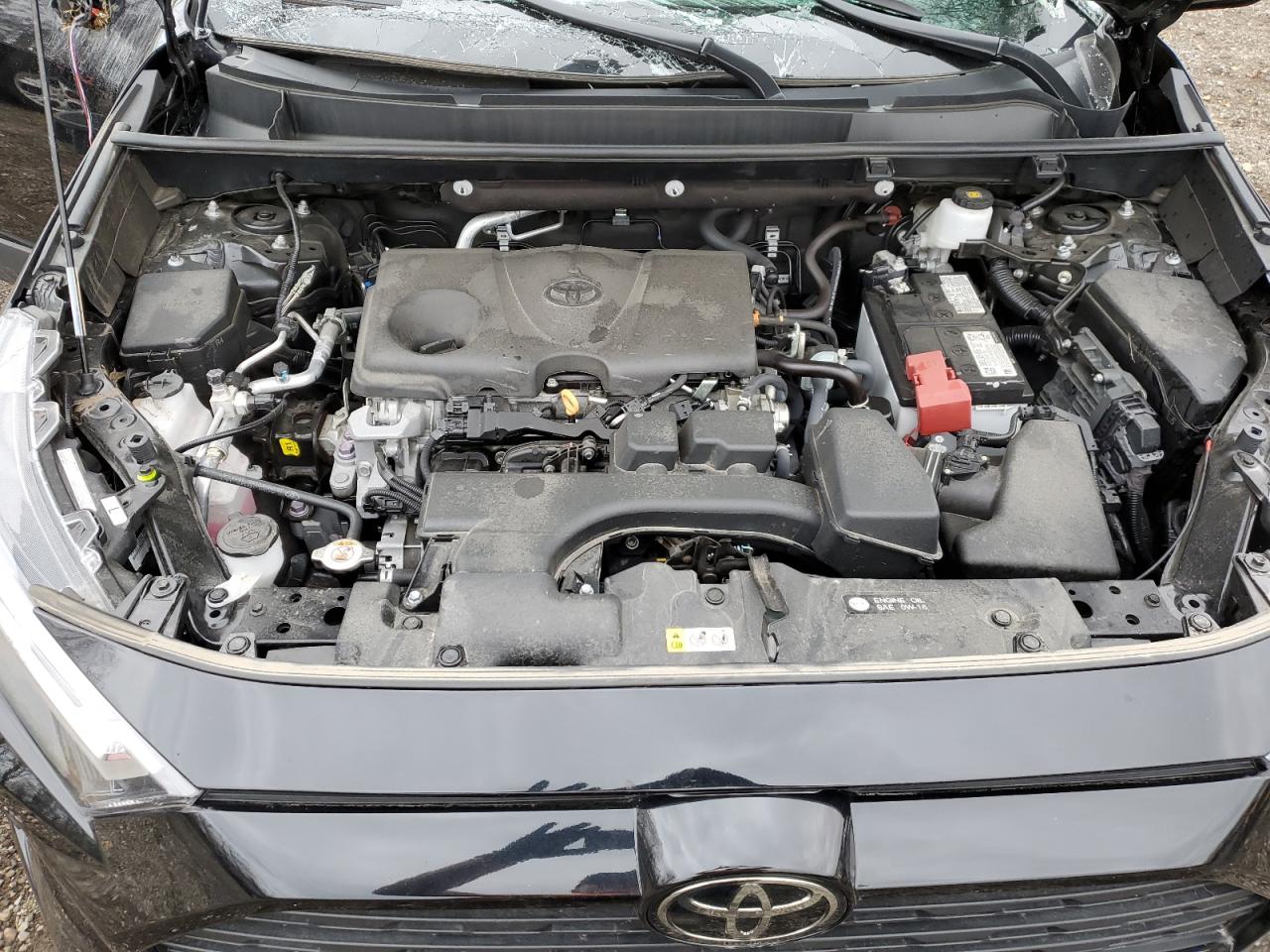 2023 TOYOTA RAV4 XLE VIN:2T3R1RFVXPC351842