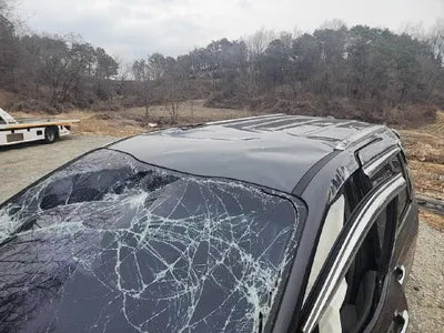 2017 Kia Carnival VIN: