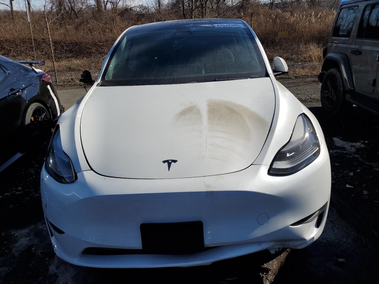 2023 TESLA MODEL Y  VIN:7SAYGDEE5PF785124