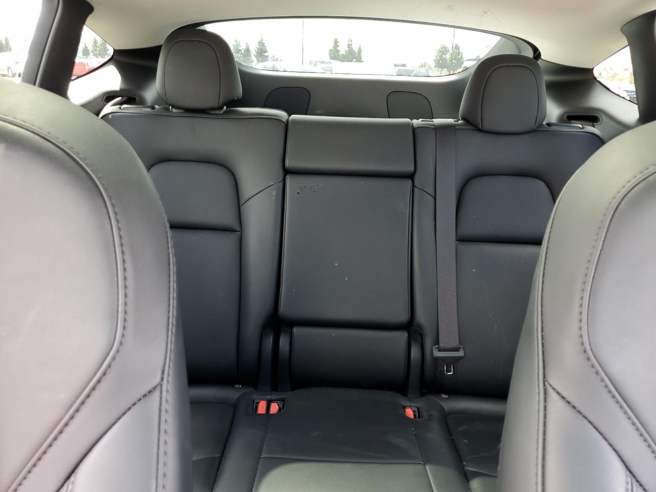 2024 TESLA MODEL Y  VIN:7SAYGDED2RF091436