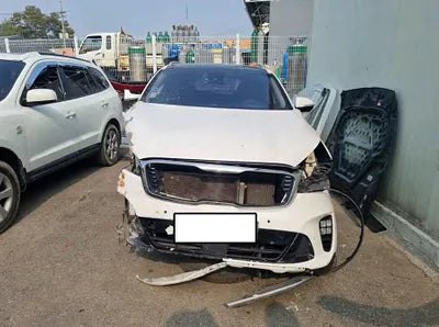 2019 Kia Sorento KNAPK81BDKA504366 VIN:KNAPK81BDKA504366