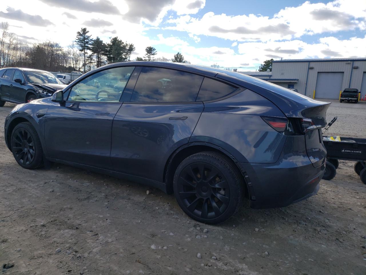 2023 TESLA MODEL Y  VIN:7SAYGDEE7PF595809