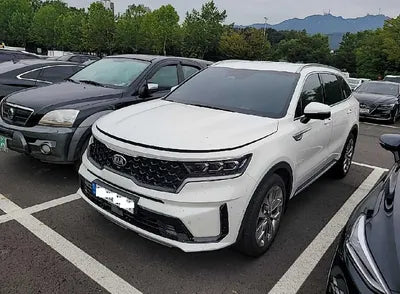 2021 Kia Sorento KNARL81BHMA061163 VIN:KNARL81BHMA061163