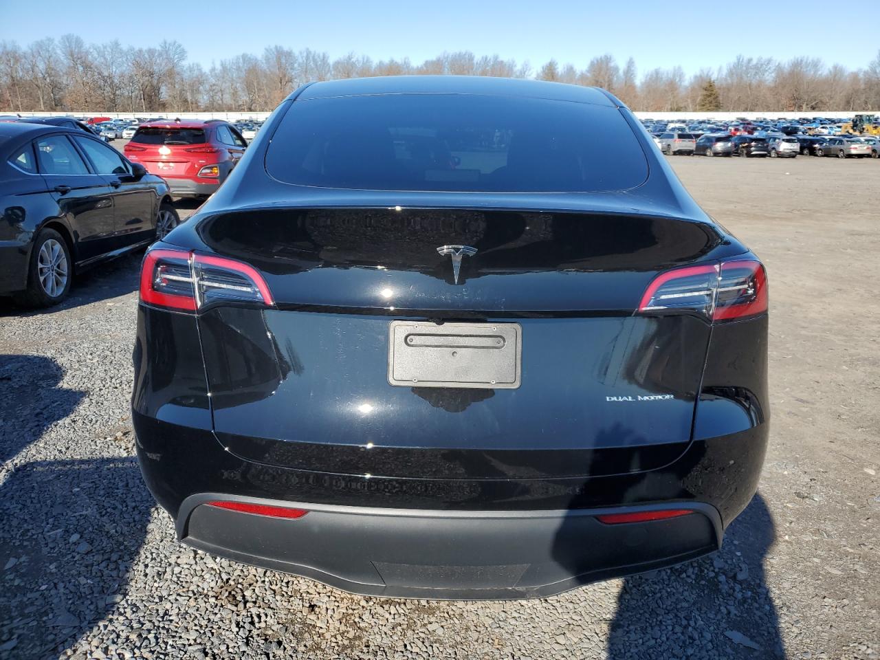 2024 TESLA MODEL Y  VIN:7SAYGDEE0RA229867