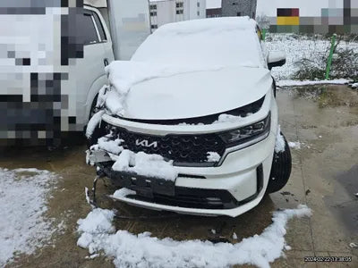 2022 Kia Sorento KNARL81GBNA112583 VIN:KNARL81GBNA112583