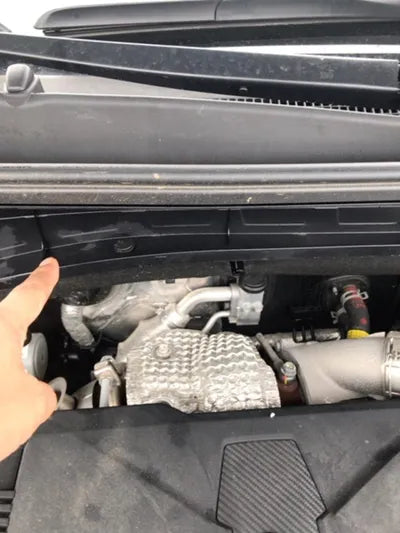 2022 Kia Sorento KNARM81FGNA147321 VIN:KNARM81FGNA147321
