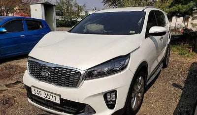2019 Kia Sorento 611KMKNAPG81ABKA4 VIN:611KMKNAPG81ABKA4