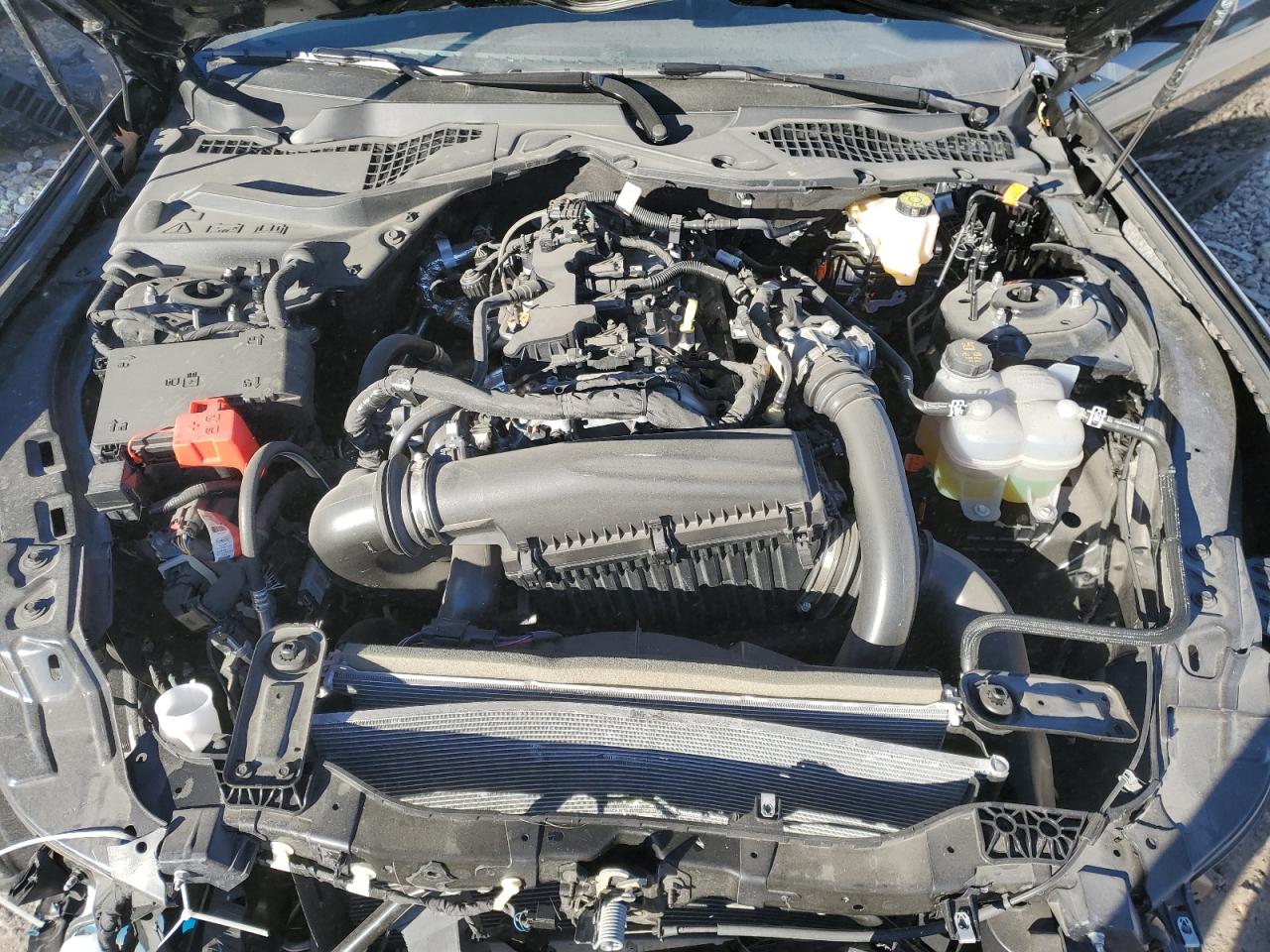 2024 FORD MUSTANG  VIN:1FA6P8TH3R5117194