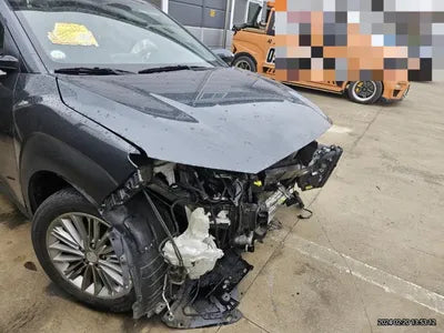 2018 Hyundai Kona 298KMKMHK3816GJU0 VIN:298KMKMHK3816GJU0