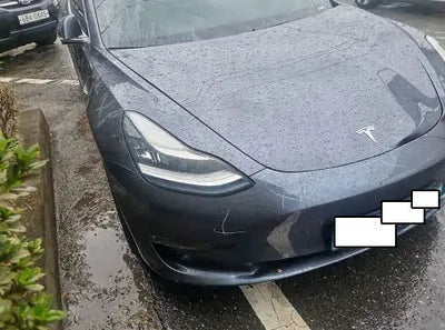 2020 Tesla Model 3 5YJ3E1EC9LF756312 VIN:5YJ3E1EC9LF756312