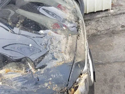 2018 Kia Carnival KNAMB81ABKS467554 VIN:KNAMB81ABKS467554