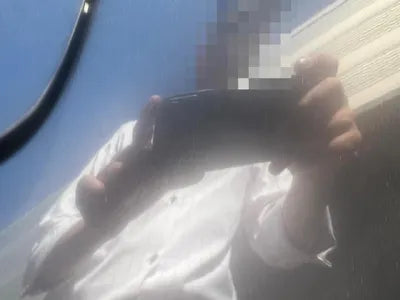 2019 Honda Accord VIN: