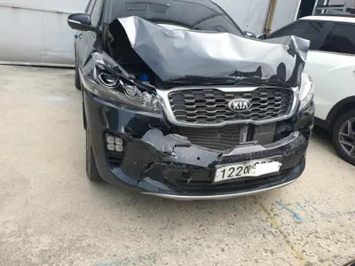 2019 Kia Sorento KNAPS81ABLA614119 VIN:KNAPS81ABLA614119