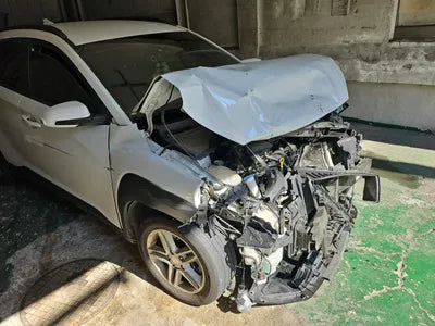 2019 Hyundai Kona KMHK4815HKU300895 VIN:KMHK4815HKU300895