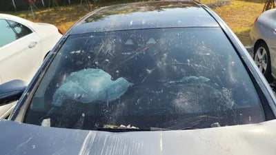 2019 Mercedes-Benz E 300 WDDZF4KB7KA585304 VIN:WDDZF4KB7KA585304