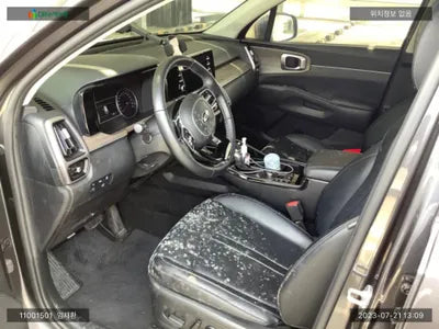2020 Kia Sorento KNARL81BGMA025523 VIN:KNARL81BGMA025523