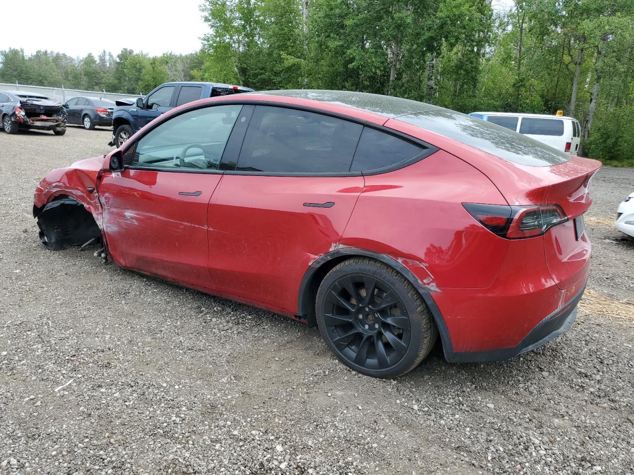 2023 TESLA MODEL Y  VIN:LRWYGDEE3PC110394