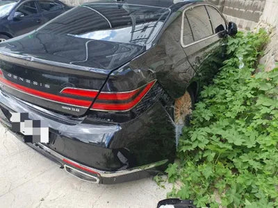 2019 Genesis G90 VIN: