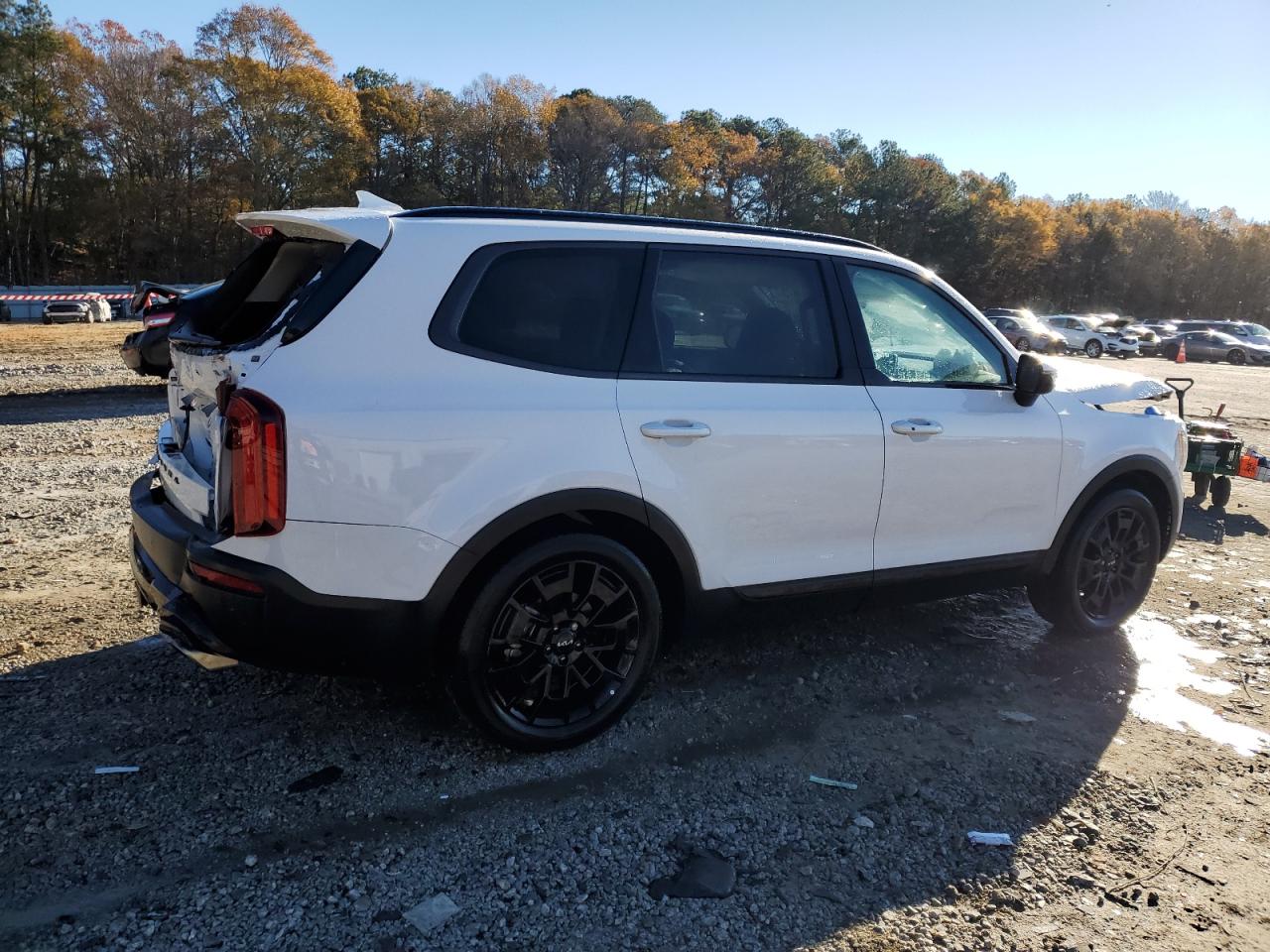 2022 KIA TELLURIDE EX VIN:5XYP3DHC4NG280339