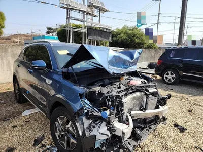 2021 Kia Sorento KNARH81GBMA047432 VIN:KNARH81GBMA047432