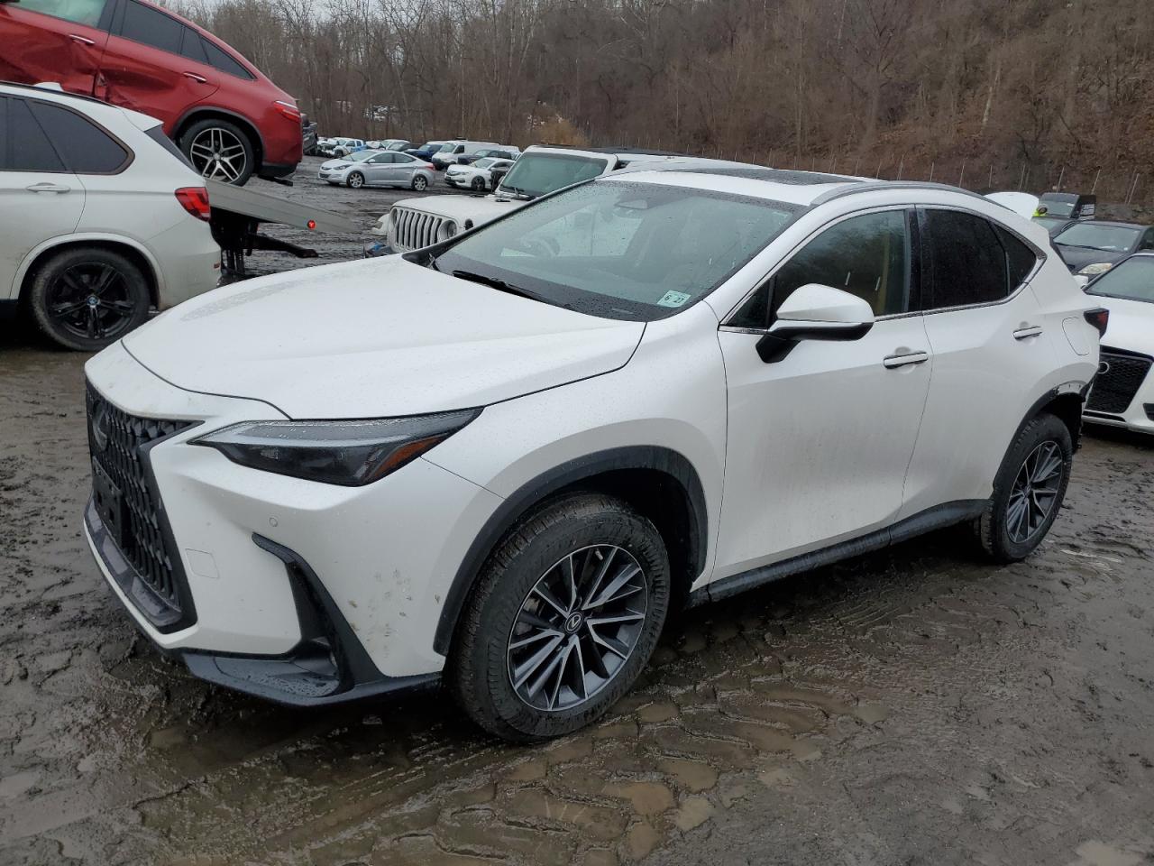 2022 LEXUS NX 350 VIN:2T2GGCEZXNC002950