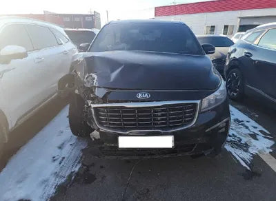 2019 Kia Carnival KNAME81ABKS516689 VIN:KNAME81ABKS516689