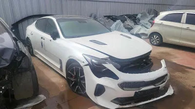 2020 Kia Stinger KNAE351ABLS085915 VIN:KNAE351ABLS085915