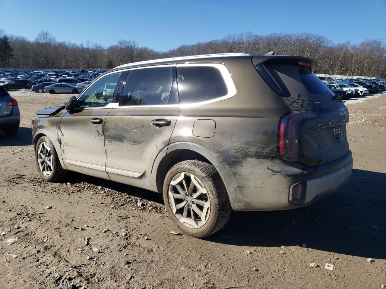 2024 KIA TELLURIDE EX VIN:5XYP3DGC8RG441041