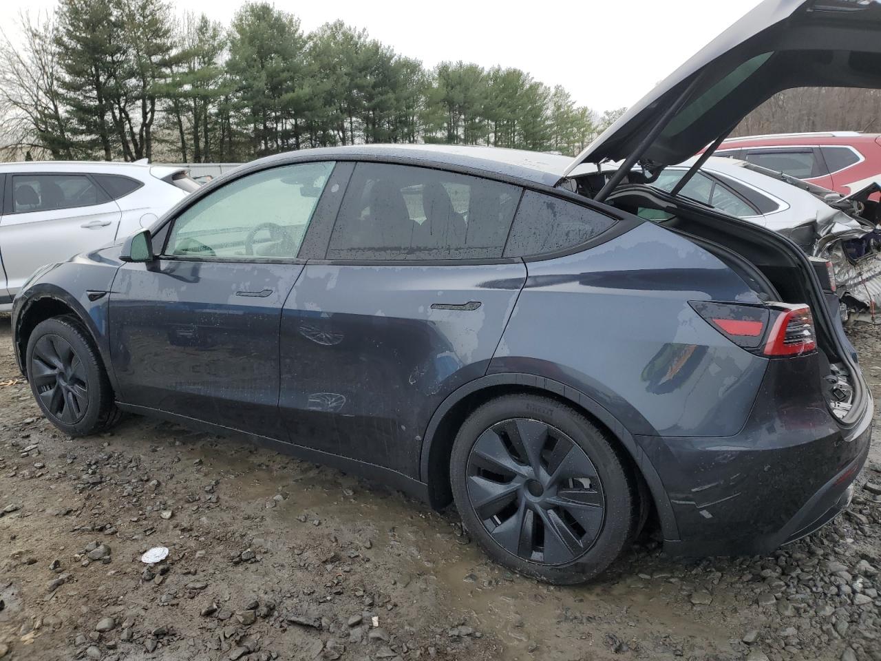 2024 TESLA MODEL Y  VIN:7SAYGDEEXRA295679